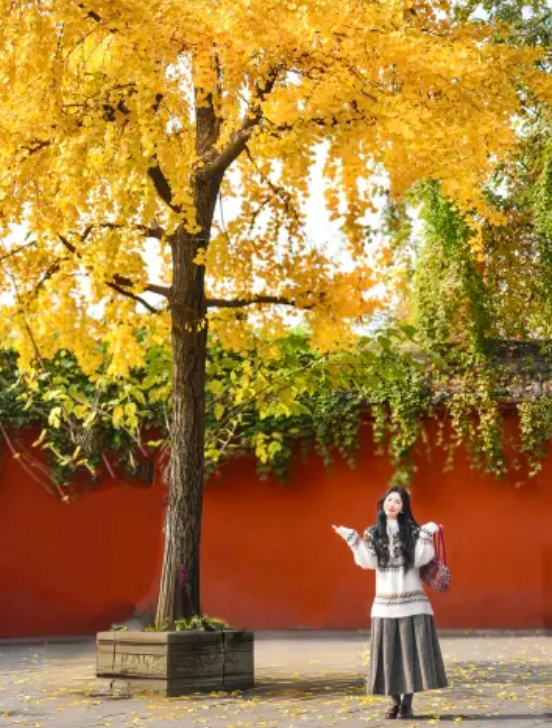 wenshu monastery in chengdu